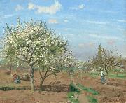 Camille Pissarro Orchard in  Bloom,Louveciennes (nn02) USA oil painting reproduction